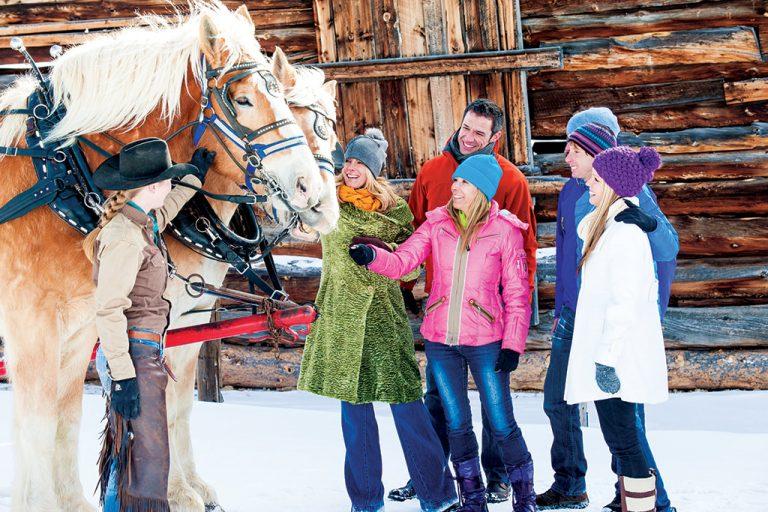 Carriage Rides and Sleigh Rides