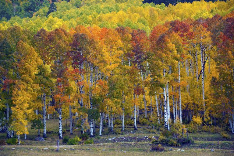 Colorado Fall Activities and Events .