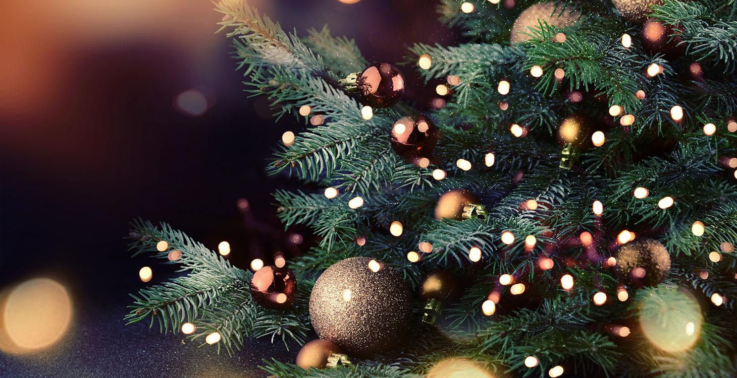 St. Mary's Inn - Stay At A Bed And Breakfast For The Holidays ..