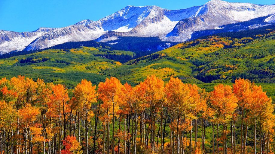 Fall Activities and Adventures in Colorado Springs