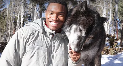 Colorado Wolf and Wildlife Center in Divide Alpha Tour