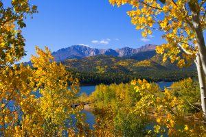 Fall Colors in Colorado
