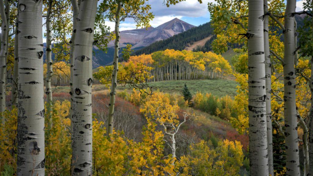 St. Mary's Inn - Breathtaking Drives For Fall Foliage In Southern Colorado